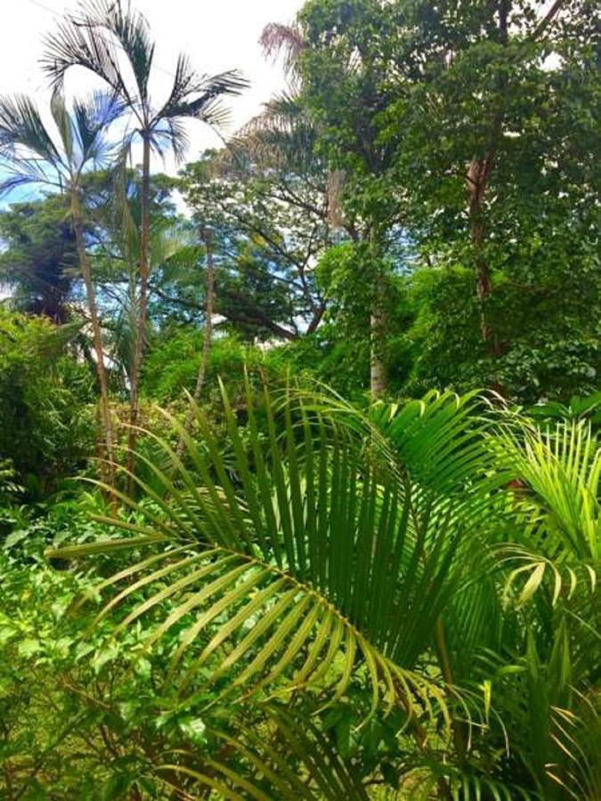 Appartamento Casa Inti Managua Esterno foto